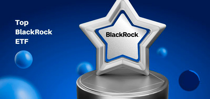 BlackRock Company