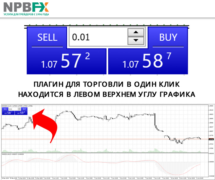 terminal NPBFX