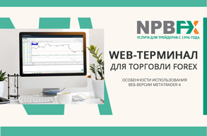 terminal NPBFX
